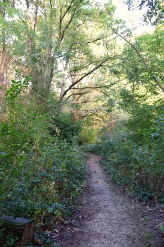 ARAM95 20251005 TOPORADIO 8542