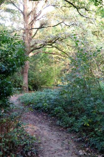 ARAM95 20251005 TOPORADIO 8543