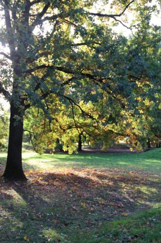 ARAM95 20251005 TOPORADIO 85501