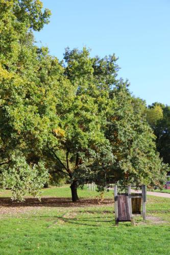 ARAM95 20251005 TOPORADIO 85571