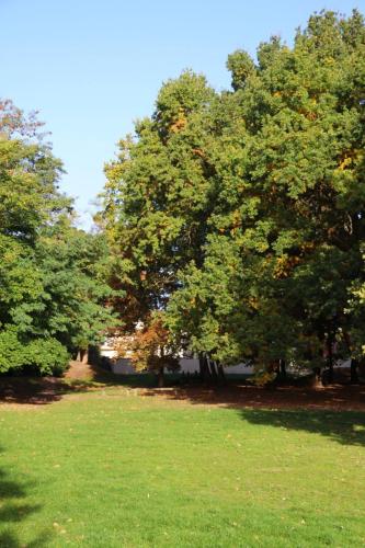 ARAM95 20251005 TOPORADIO 8558