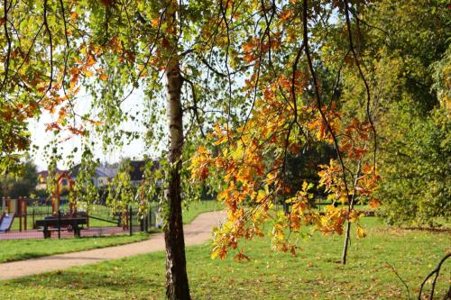 ARAM95 20251005 TOPORADIO 8583