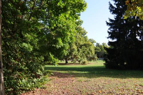 ARAM95 20251005 TOPORADIO 85841