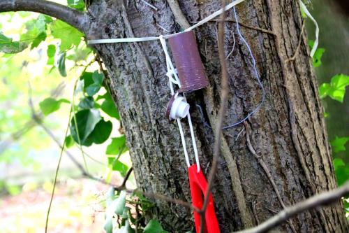 ARAM95 20251005 TOPORADIO 8593