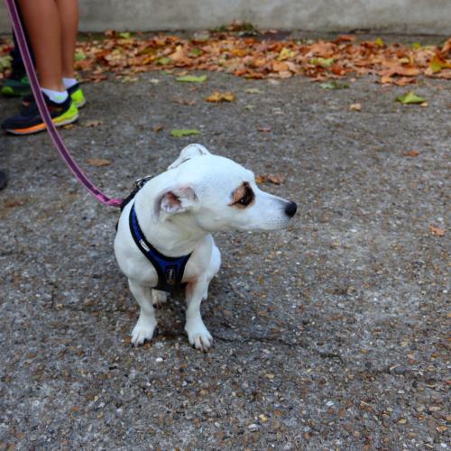 ARAM95 20251005 TOPORADIO 8663